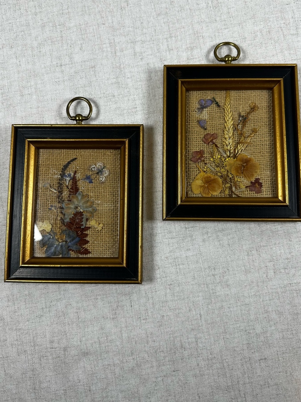 Pressed Floral Wall Art Floralp Pair in Black and Gold Frames